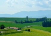 campagne monts lyonnais 01 06 2017