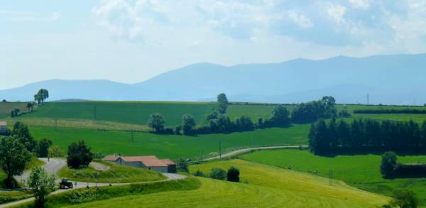 campagne monts lyonnais 01 06 2017
