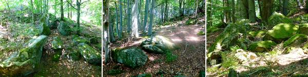 chapelle st appollinaire larajasse 07 06 2017
