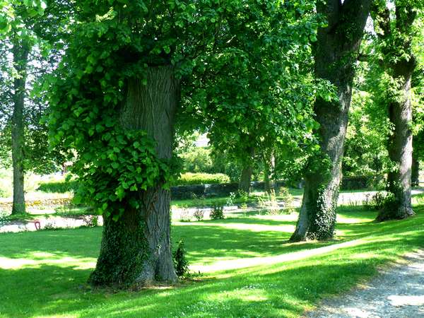 chateau parc village fontanes 01 06 2017