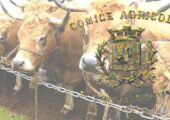 chazelles comice agricole 04 2015 
