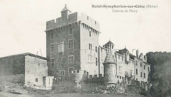 cp chateau pluvy pomeys 06 2016