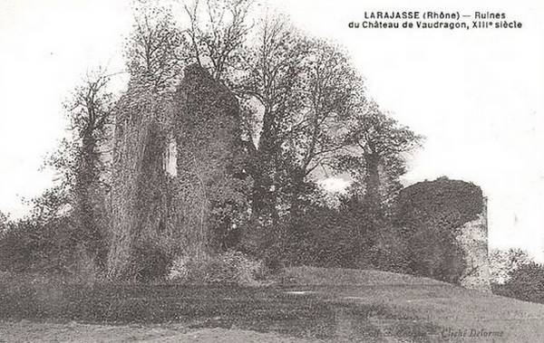 cp chateau vaudragon larajasse 01 02 2017