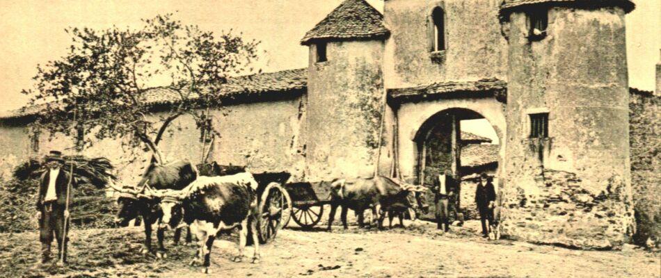 cp ferme belle croix agriculture chazelles 03 05 2020
