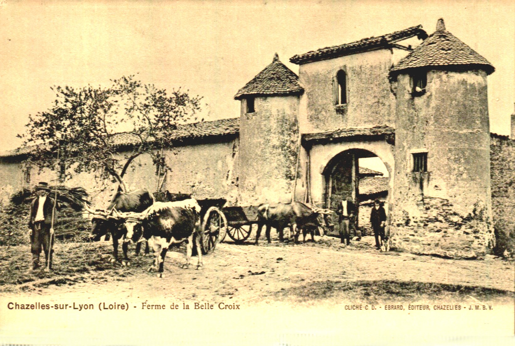 cp ferme belle croix agriculture chazelles 03 05 2020