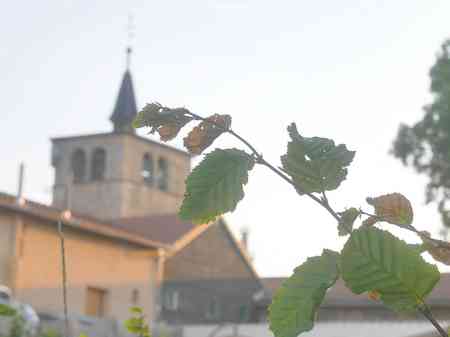 eglise st medard 03 08 2015