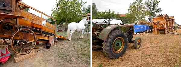 fete batteuse chevriere 02 09 2015