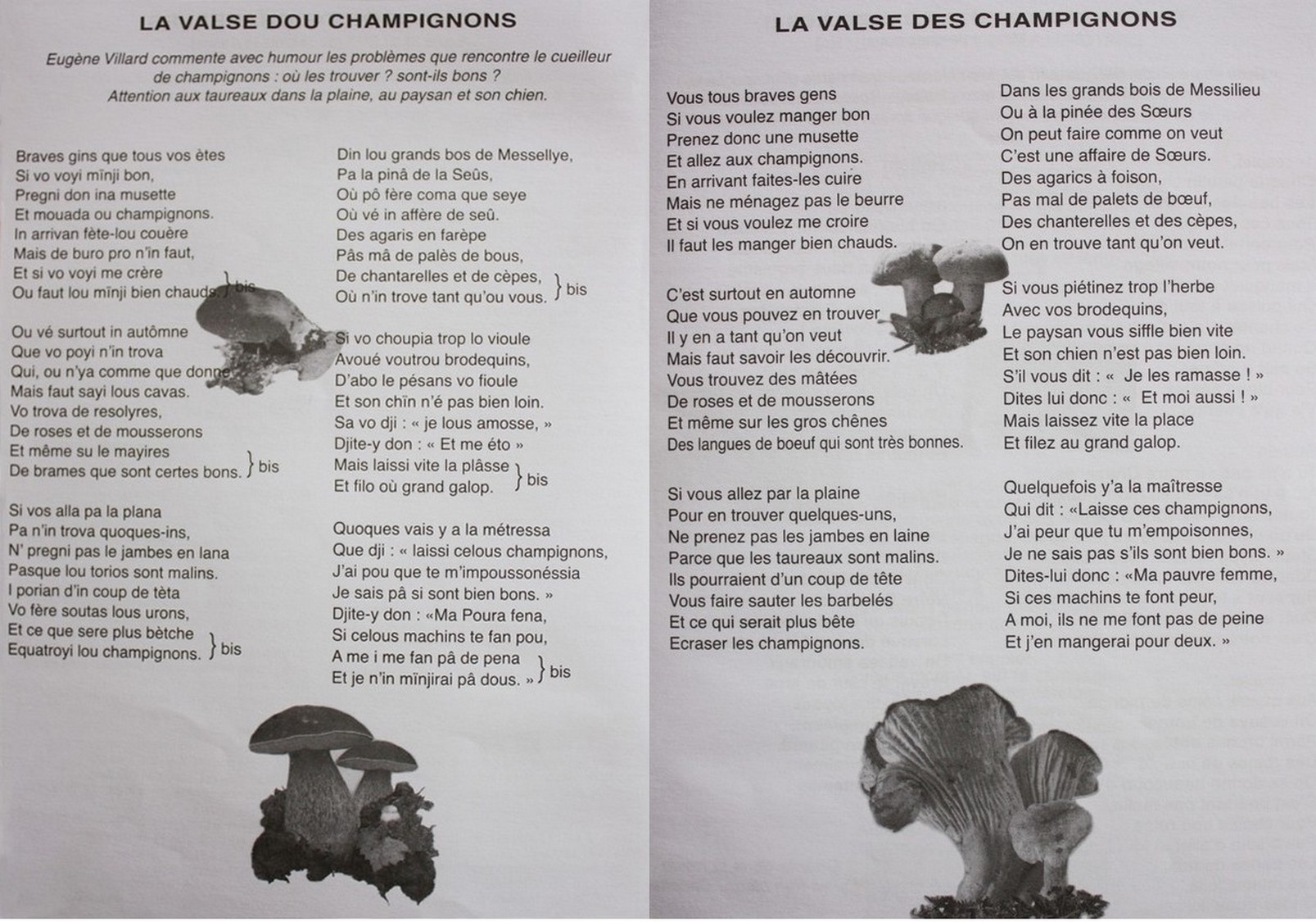 la valse des champignons