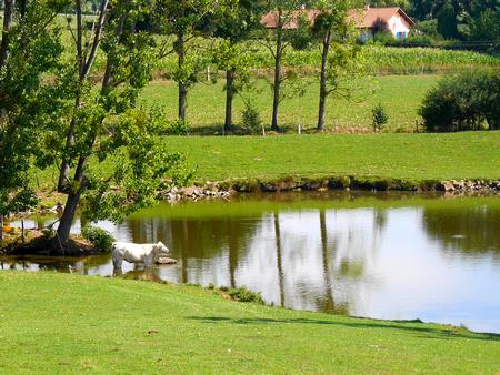 photo etang chazelles 08 2015