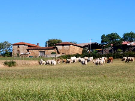 photo ferme mont du lyonnais 08 2015