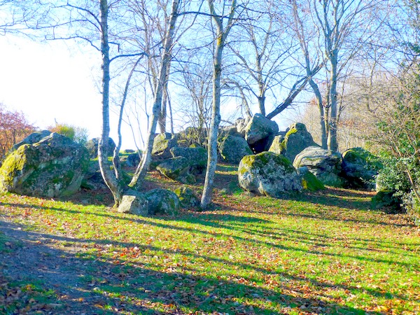 photo megalite rochefort 02 01 2016