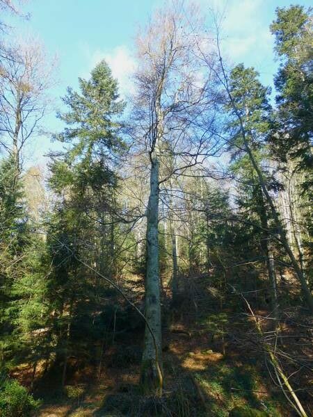 photo parc chateau lafay larajasse 01 02 2017