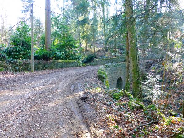 photo parc chateau lafay larajasse 03 02 2017