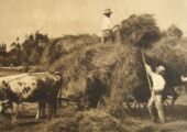 photos agriculture fenaison chazelles 12 2015