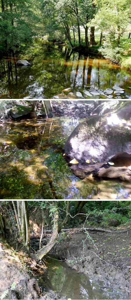 riviere coise st medard 02 08 2015