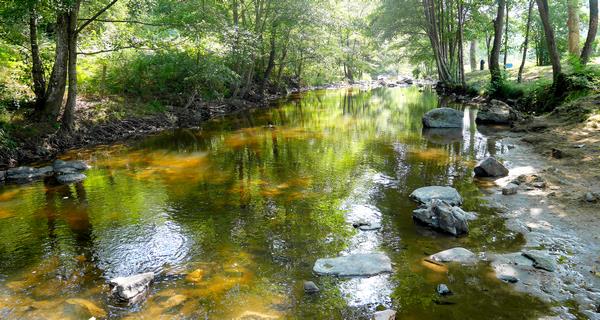 riviere coise st medard 08 2015