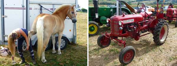 tradition fete batteuse bessy chevriere 05 09 2016