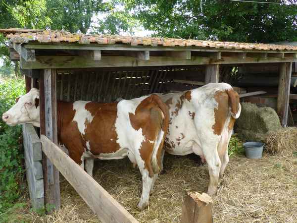 tradition fête batteuse meys 11 09 2016