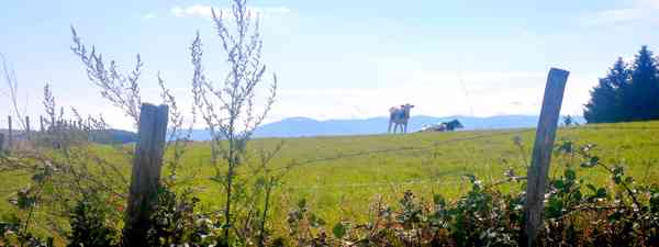 village grammond 06 09 2015